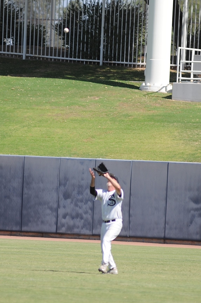 Seals_2017-10-09 (154).jpg - (c)2010 DeVetter